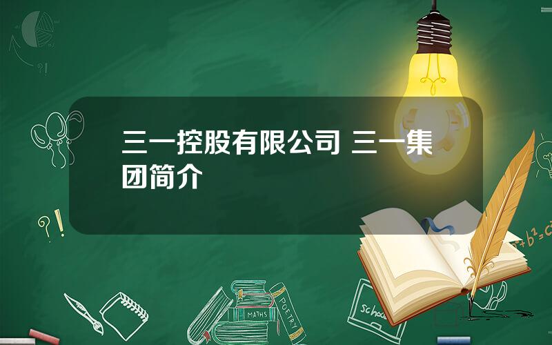 三一控股有限公司 三一集团简介